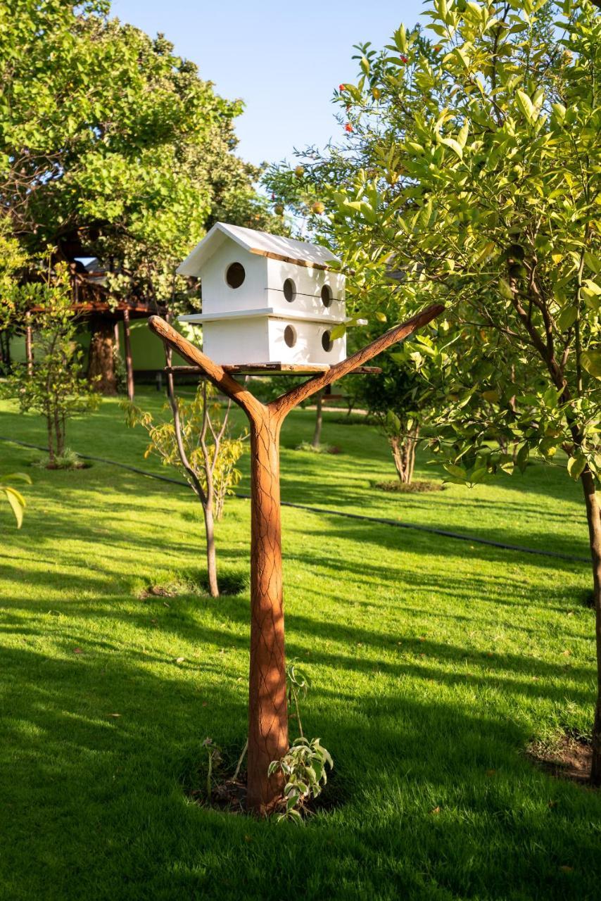 Resort Fun Retreat Resort, And Ayurveda Arusha